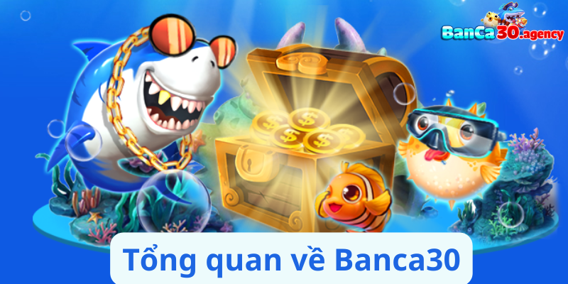 Tổng quan về Banca30